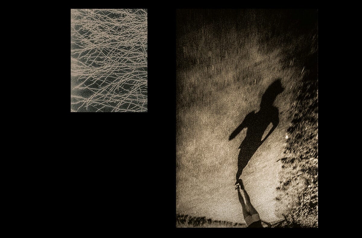 © Jean-François Flamey