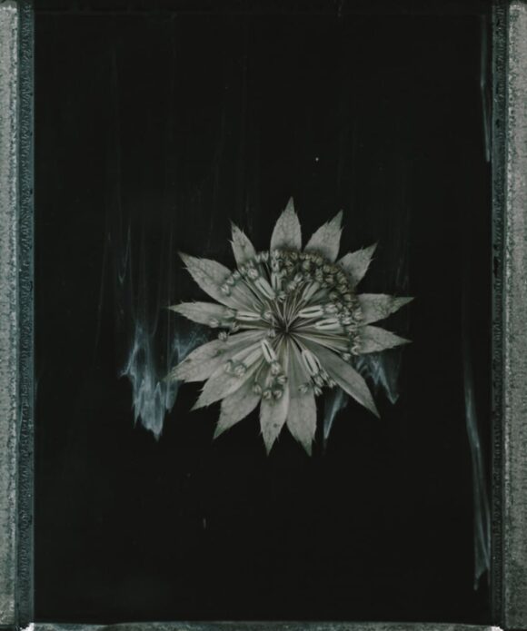 © Jean-François Flamey