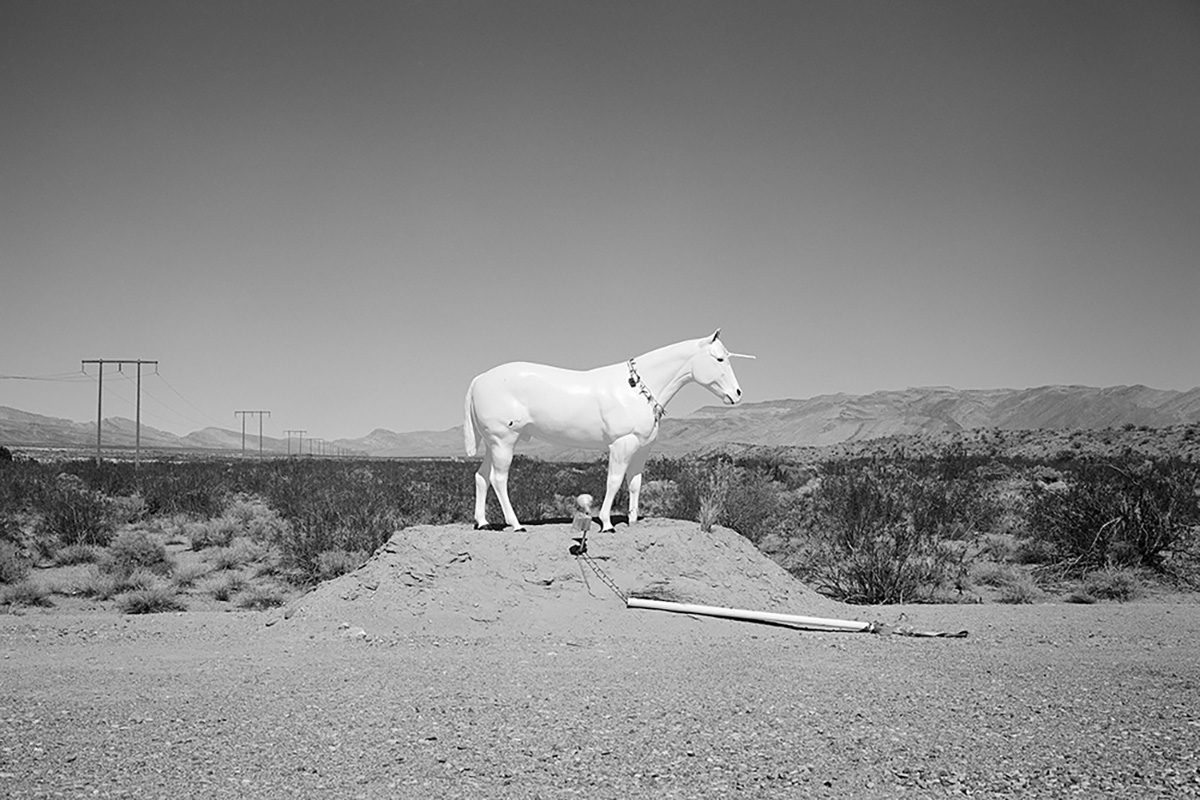 © Martin Buday