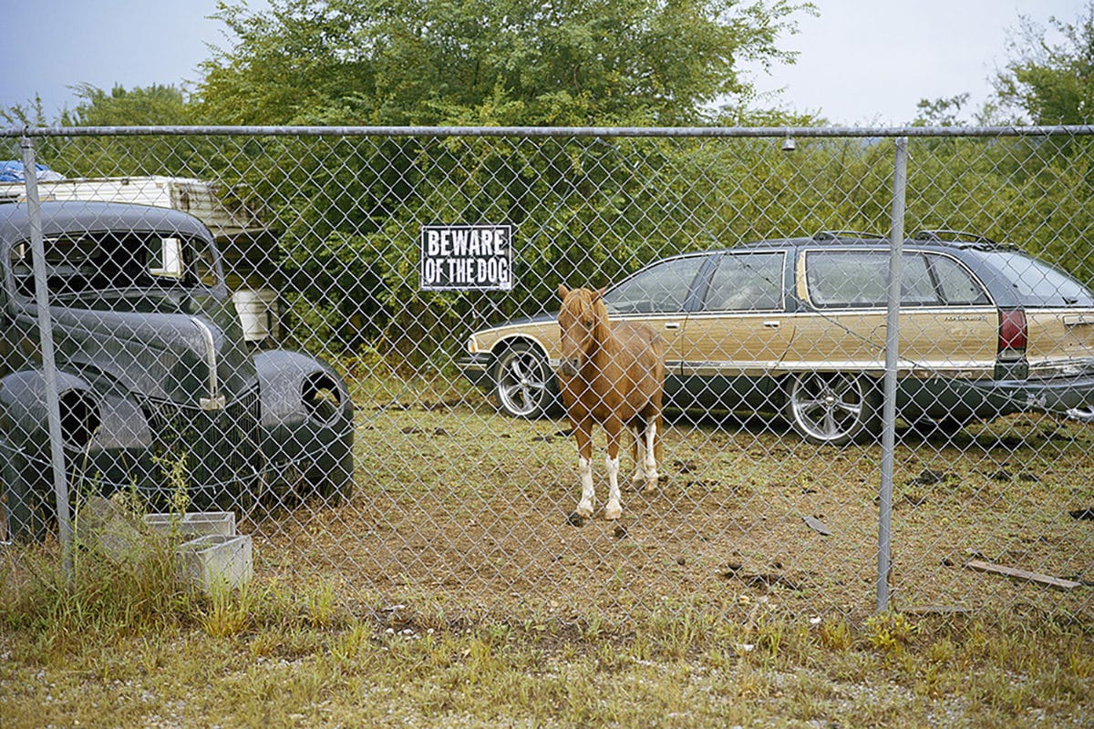 © Martin Buday