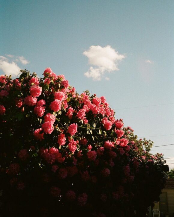© Sawyer Dedmon / Instagram