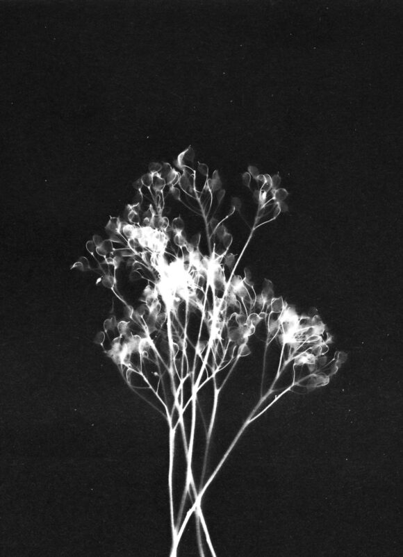 © Julien Lasota