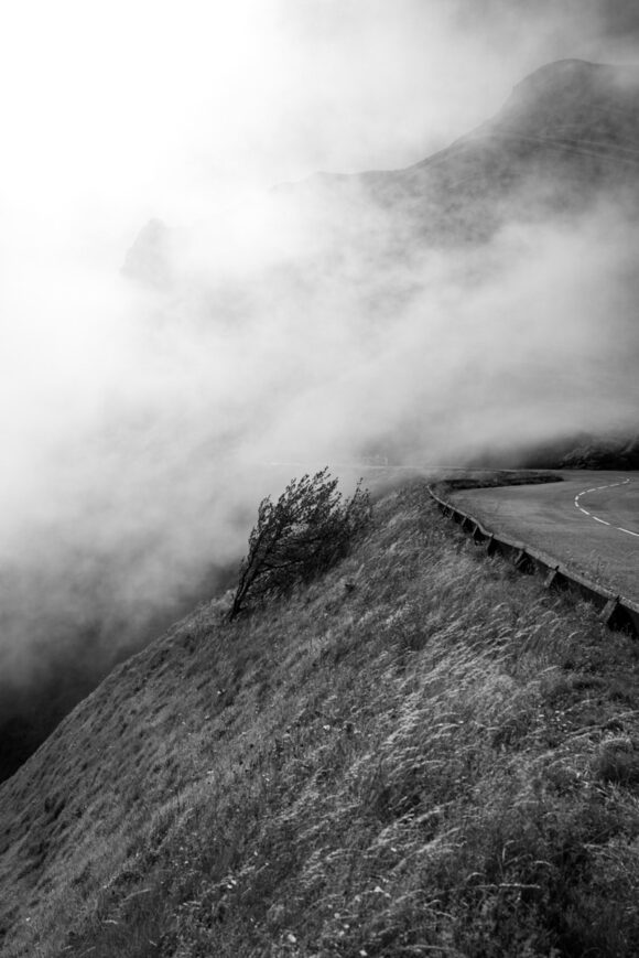 © Julien Lasota