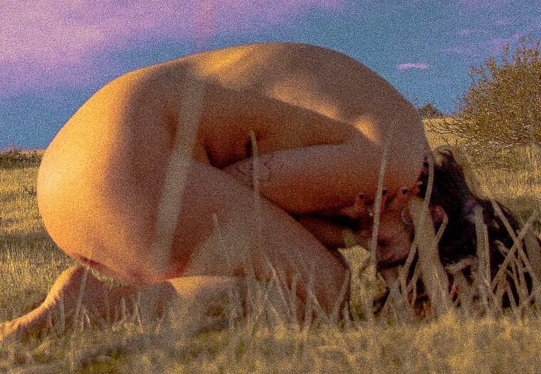 paule-png-cropped