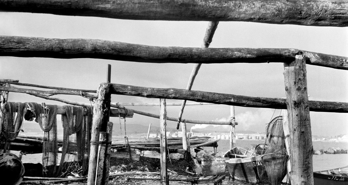 © Succession Varda