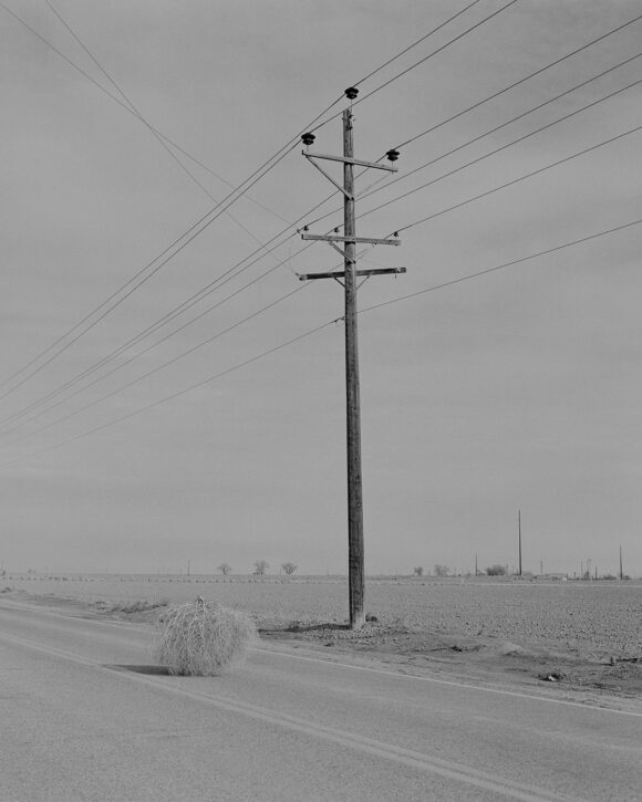 © Ben P. Ward