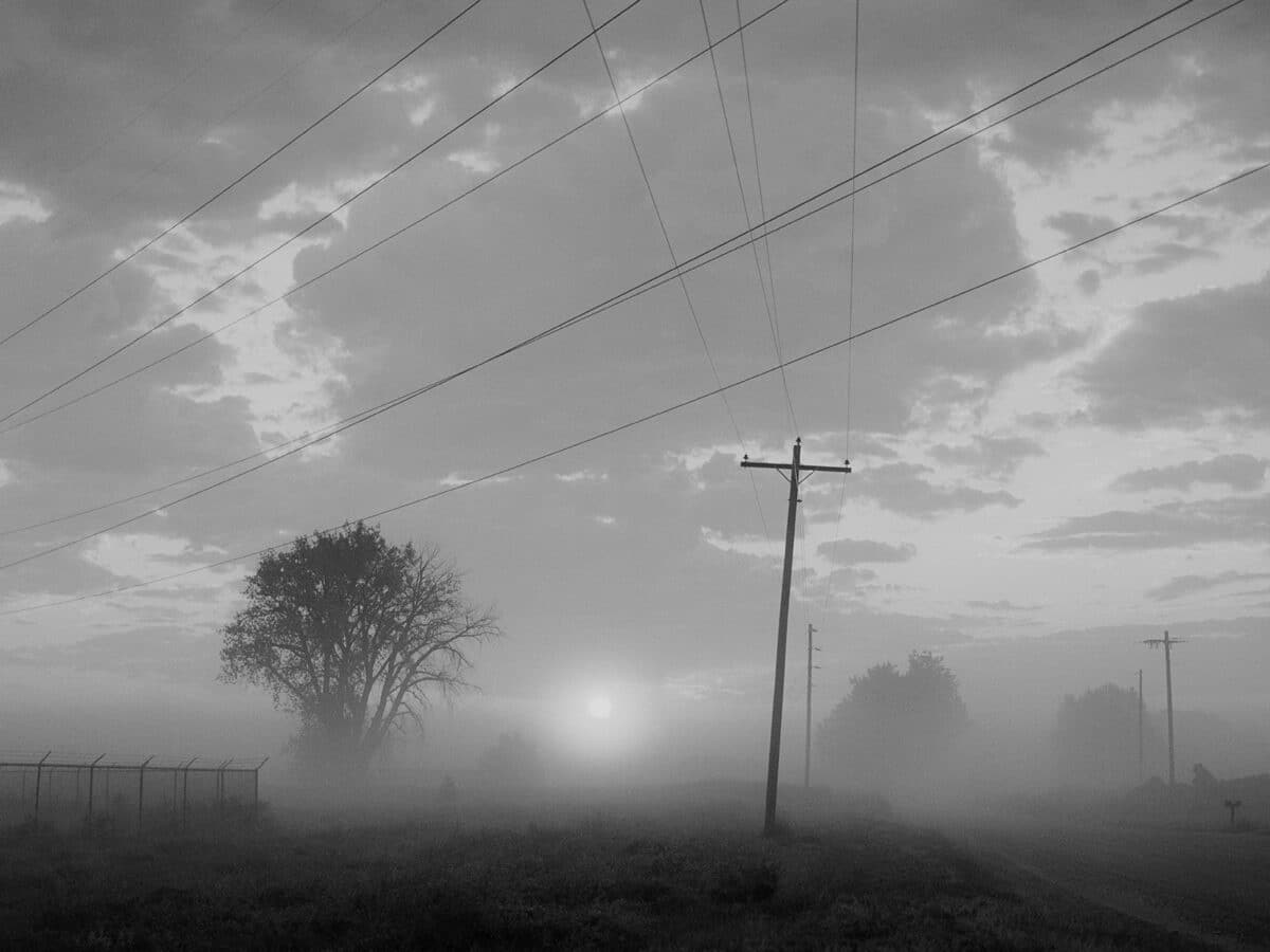 © Ben P. Ward