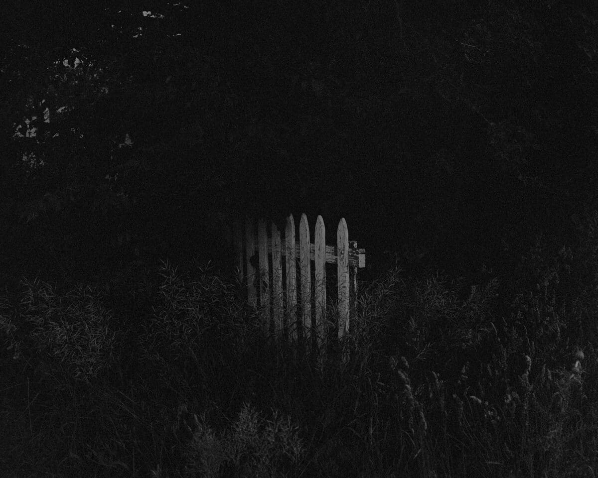© Ben P. Ward