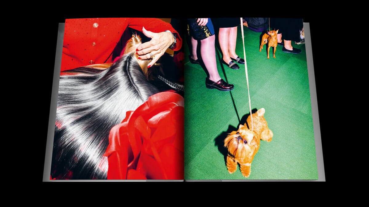 © Dolly Faibyshev / Fisheye