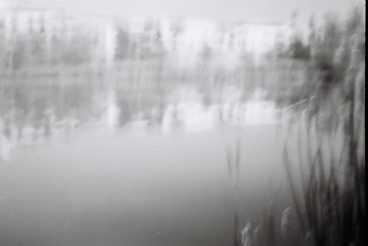© Nieves Mingueza