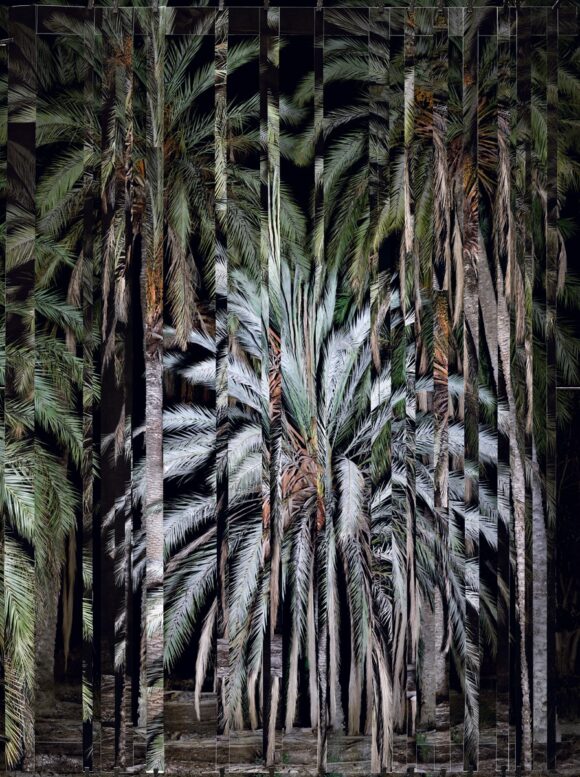 © Noémie Goudal