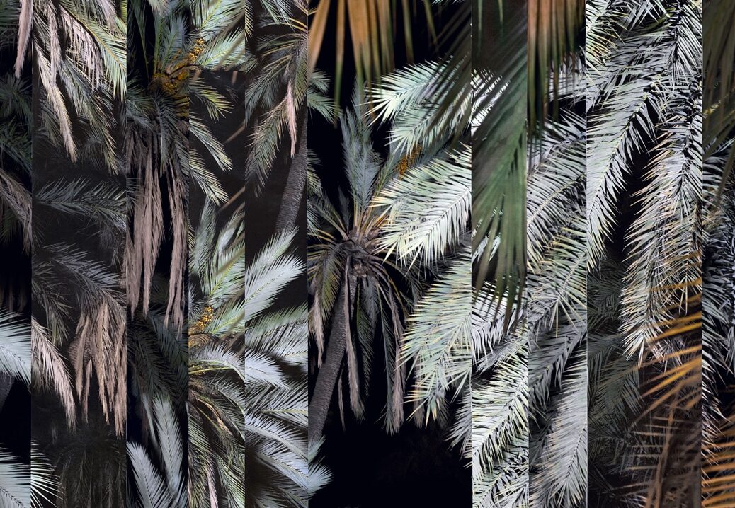 © Noémie Goudal