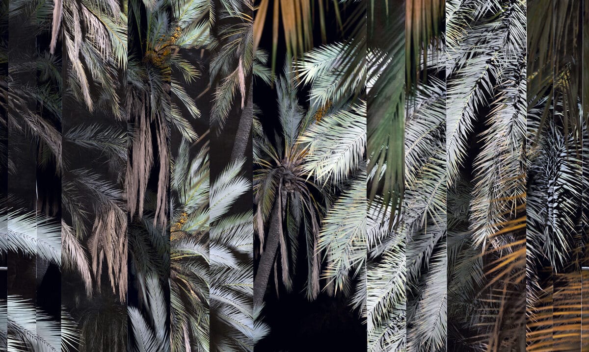 © Noémie Goudal