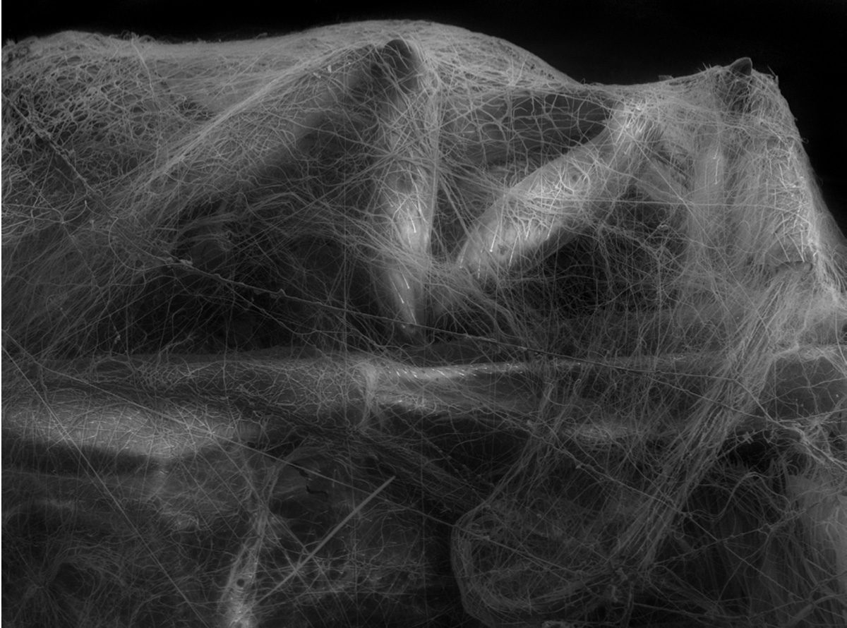 © Céline Clanet / Photographie et Sciences