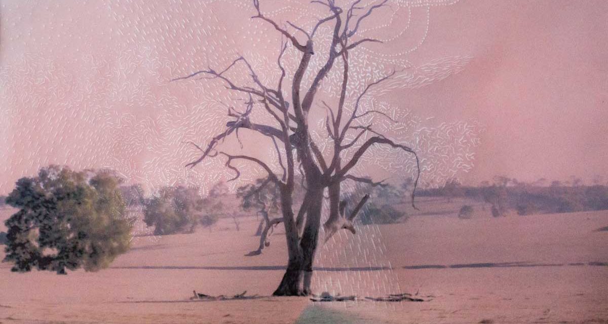 © Juliette-Andréa Elie