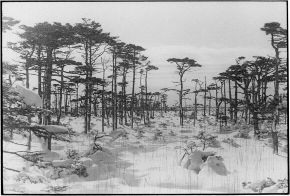© Chieko Shiraishi, Shikawatari series