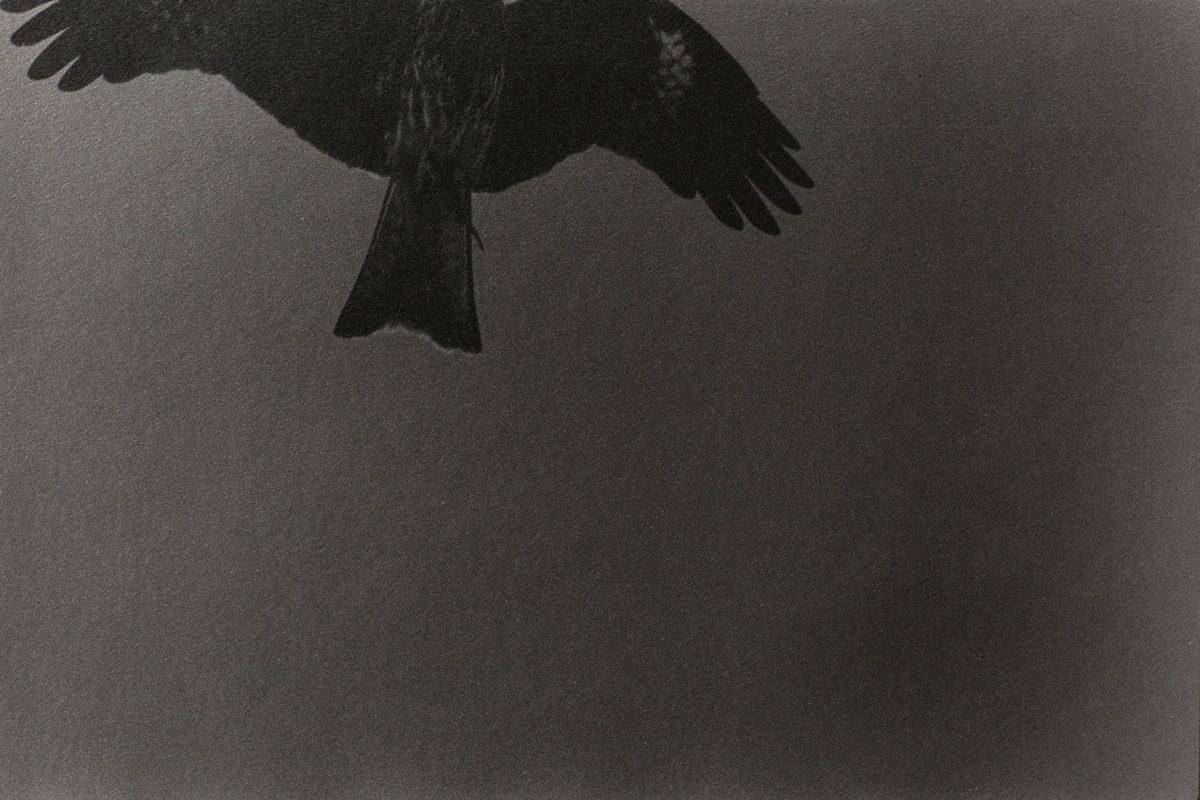 © Chieko Shiraishi, Shikawatari series