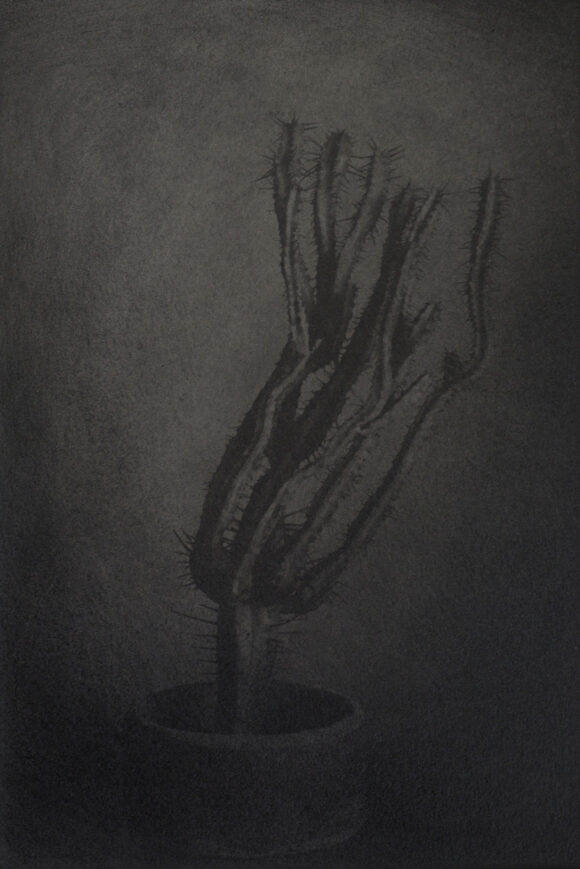 © Chieko Shiraishi, Shimakage series