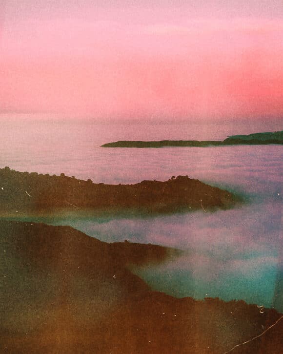 © Tristan Hollingsworth