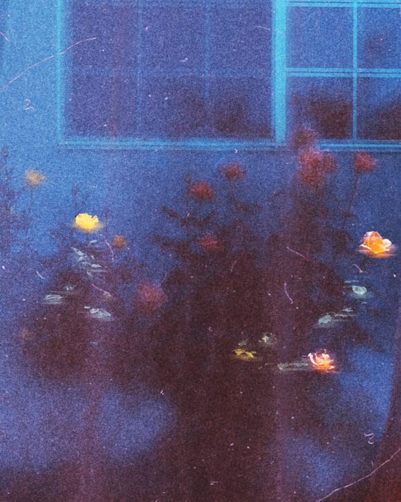 © Tristan Hollingsworth