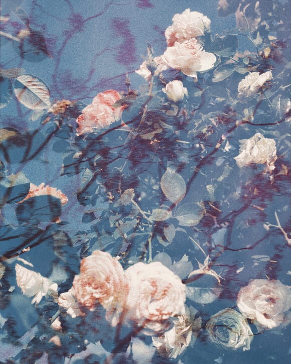 © Tristan Hollingsworth