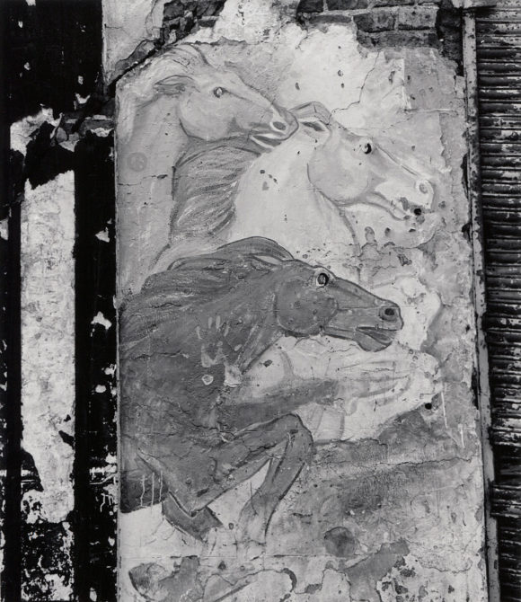 © Colette Urbajtel / La Galerie Rouge – Asociacíon Manuel Álvarez Bravo