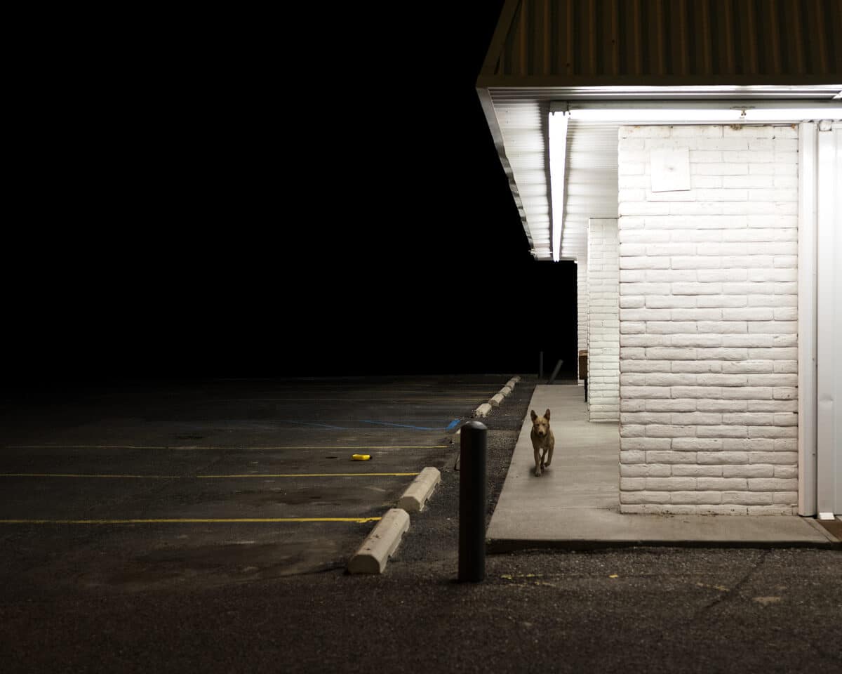 © Jon Horvath