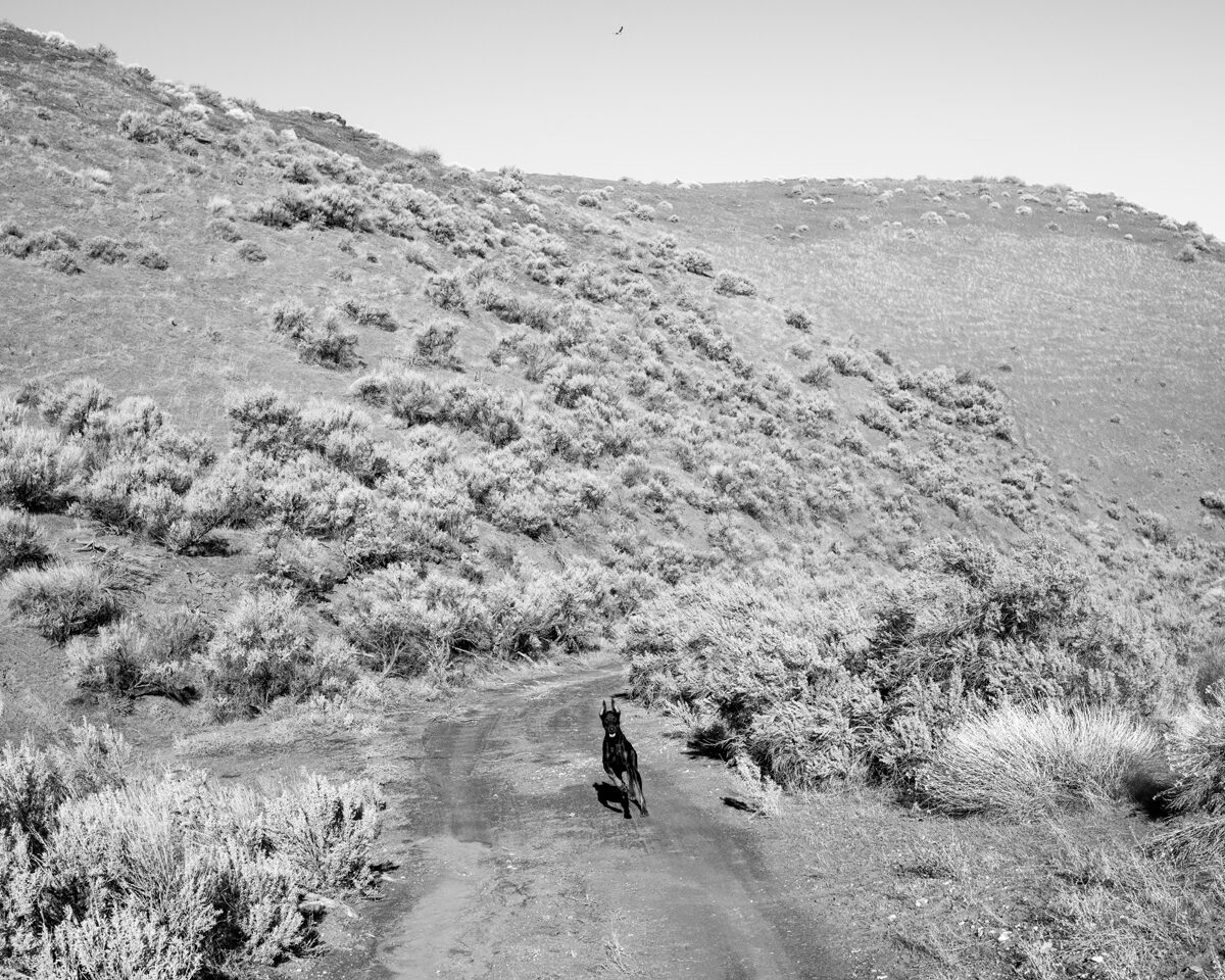 © Jon Horvath