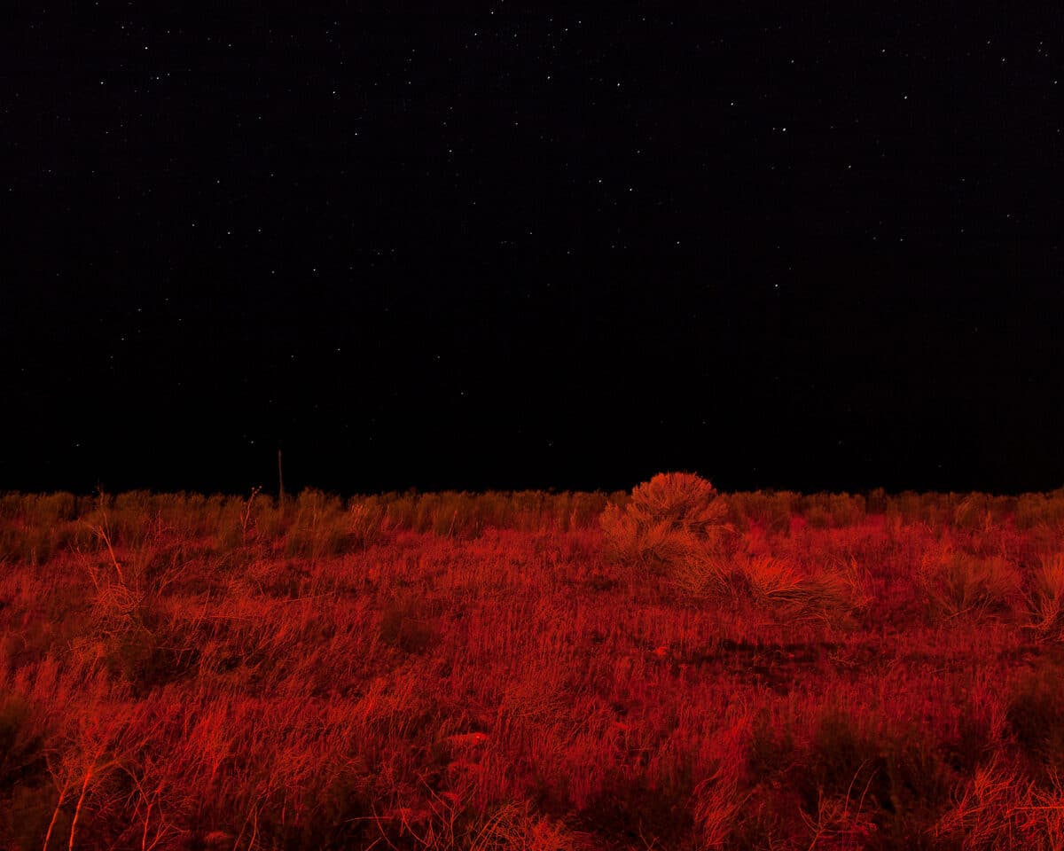 © Jon Horvath