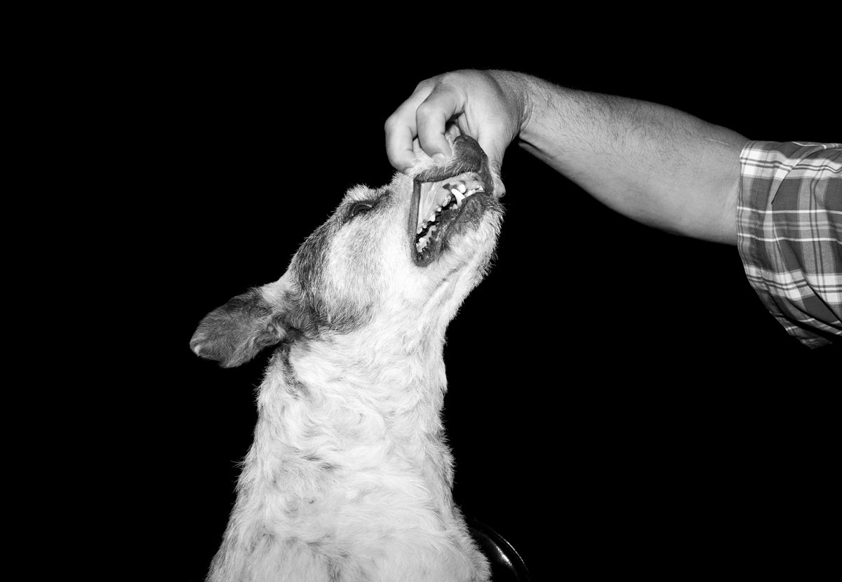 © Jon Horvath