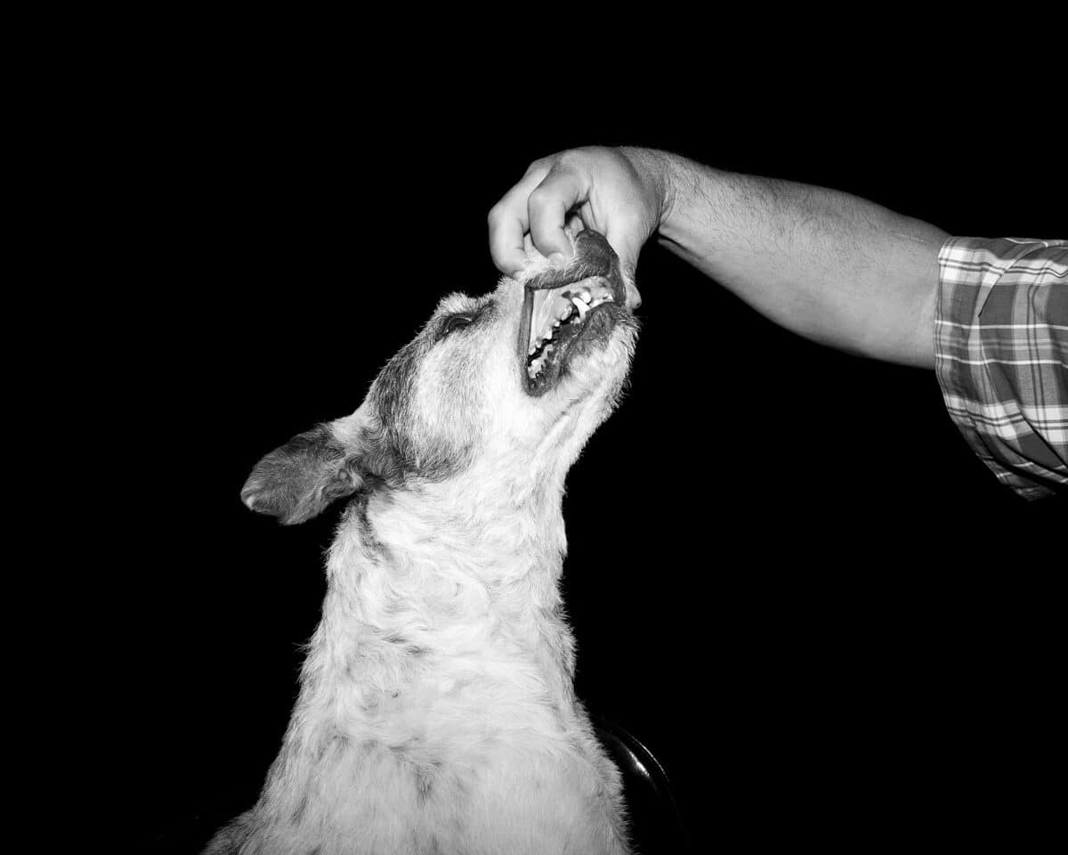 © Jon Horvath