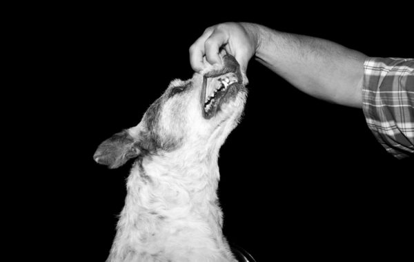 © Jon Horvath