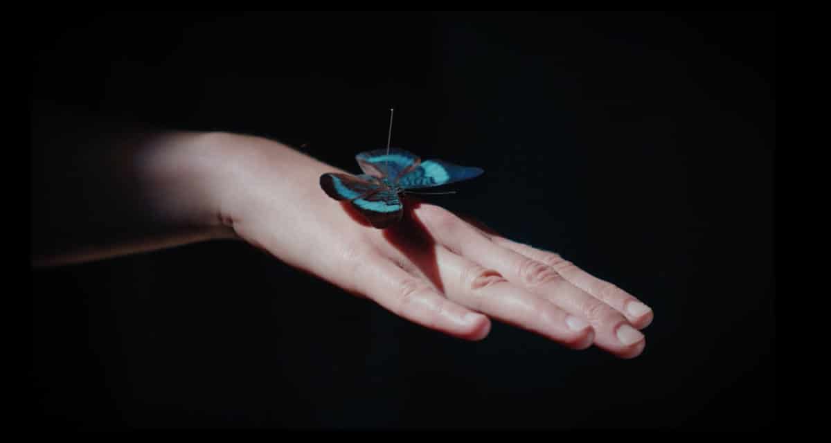 © Boryana Petkova