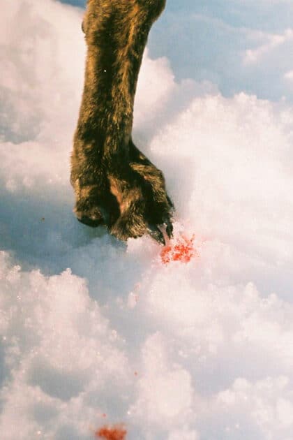 © Paula Yubero