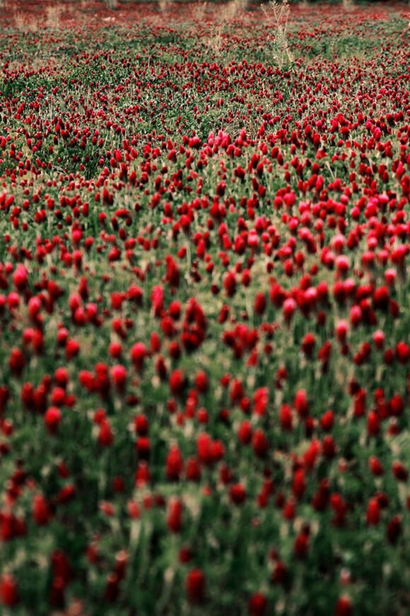© Sarah Balhadere