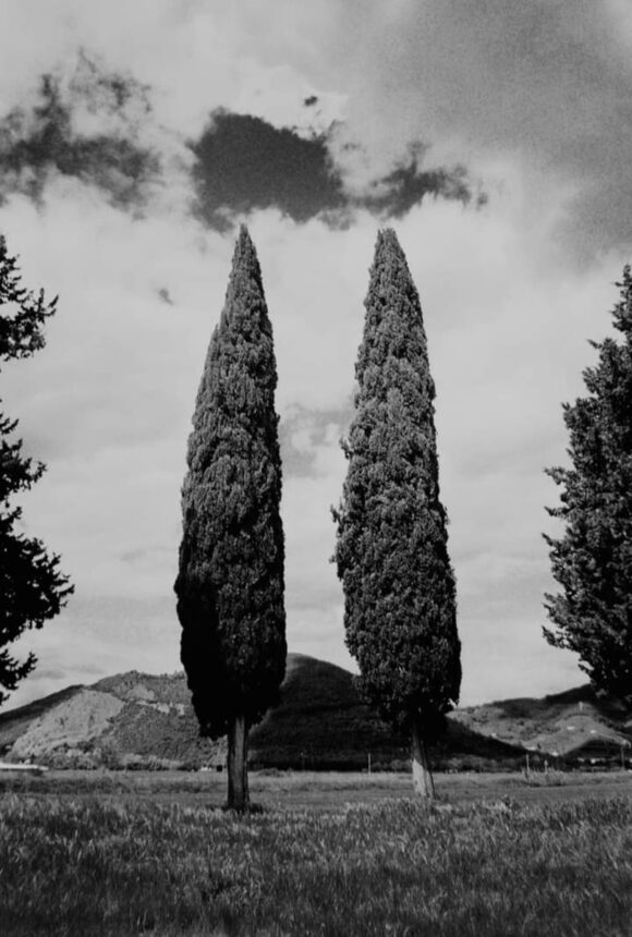© Francesca Sand