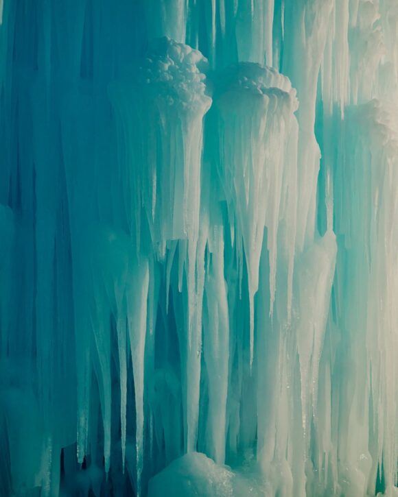 © Frankie Carino