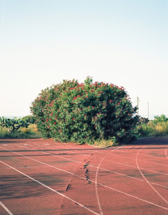 © Greta Valente