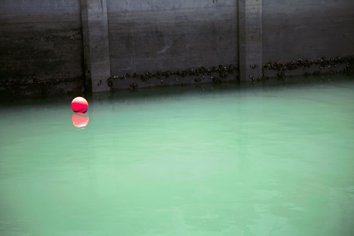 © Jessica Backhaus