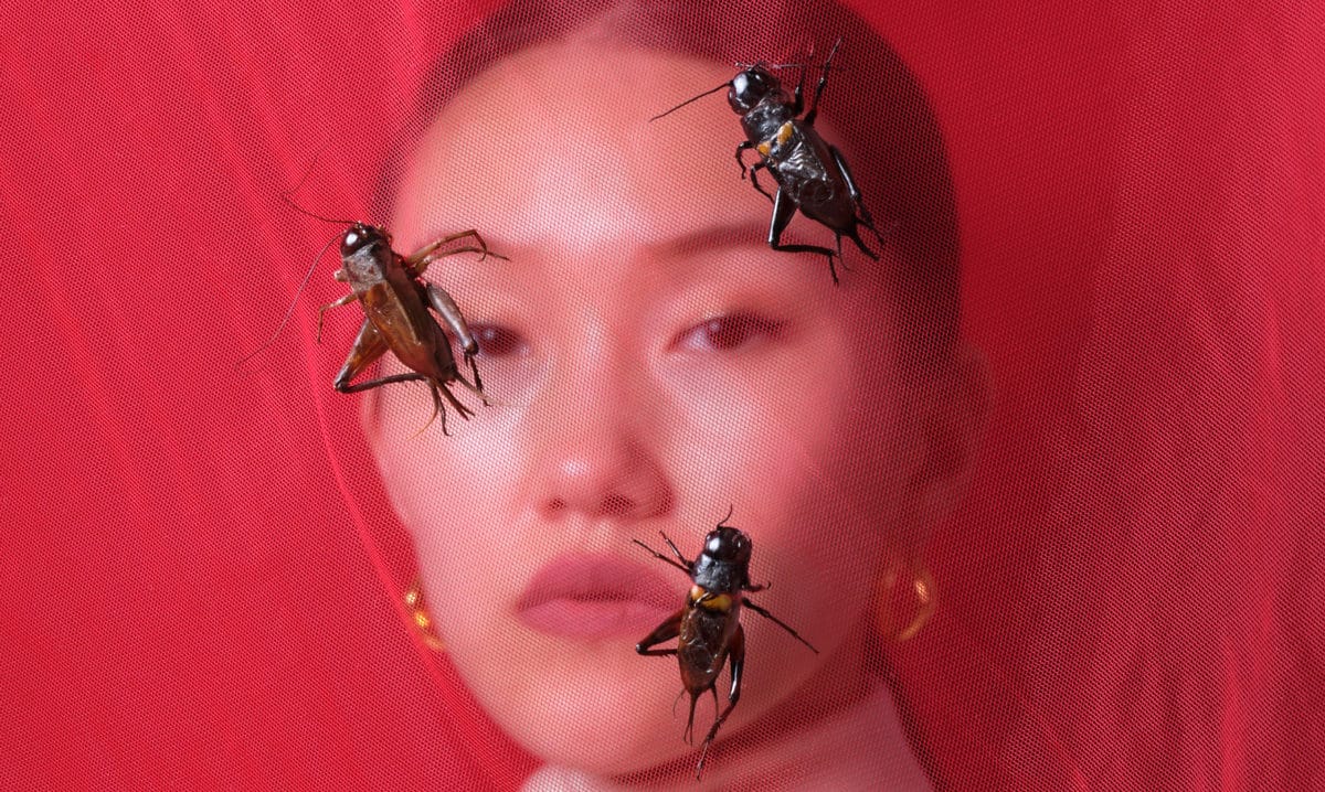 © Laurence Kubski