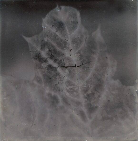 © Marjolaine Vuarnesson