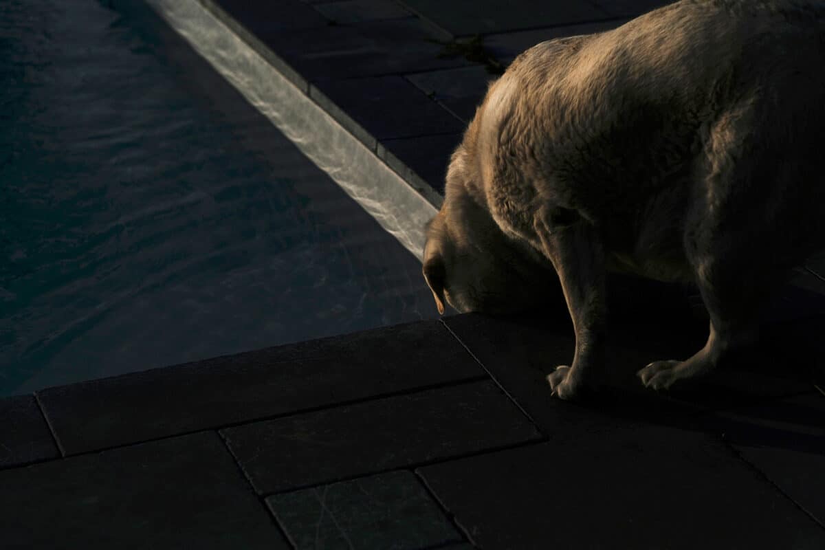 © Marjolaine Vuarnesson