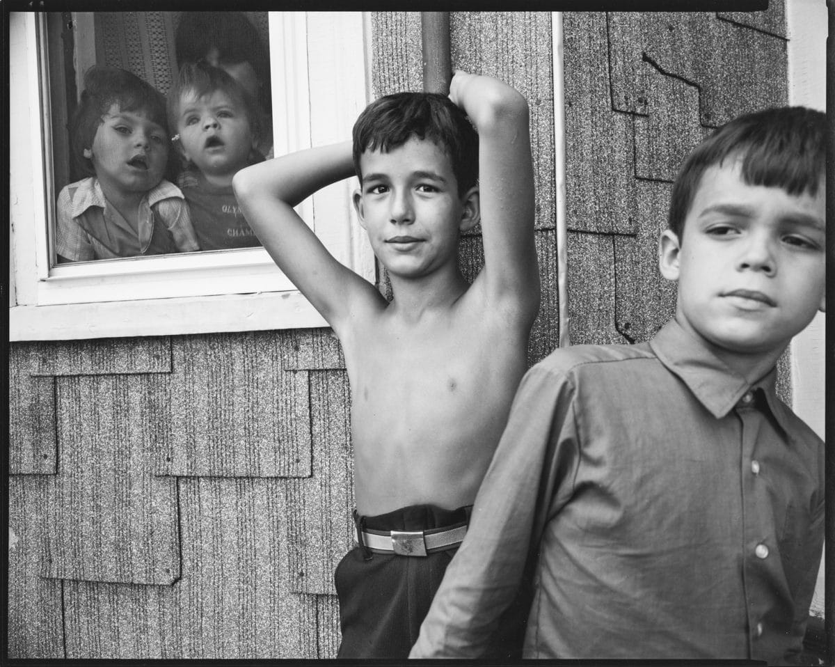 © Nicholas Nixon 