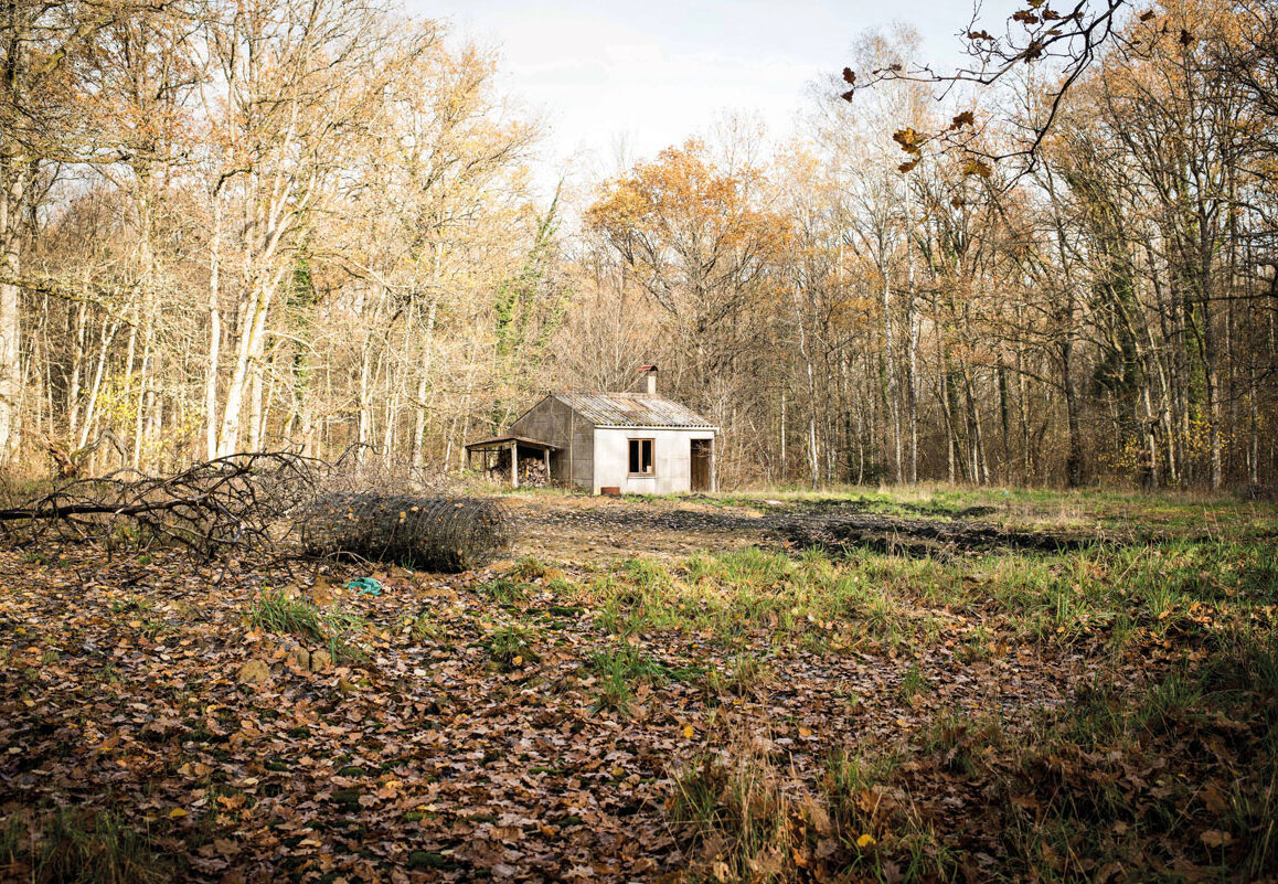 © Olivier Saint-Hilaire