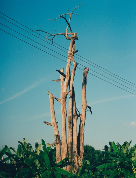 © Eric Asamoah