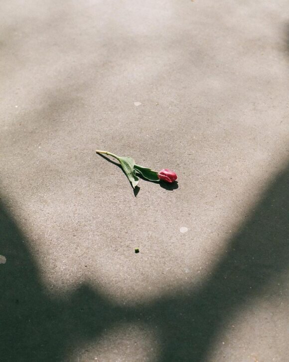 © Isabel Martinlo