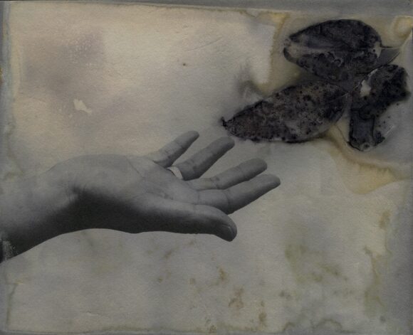 © Marie-Anne Hauth