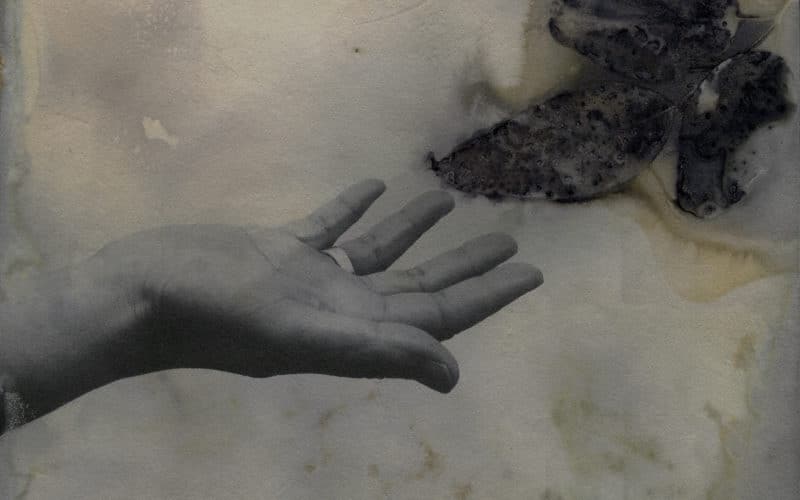 © Marie-Anne Hauth
