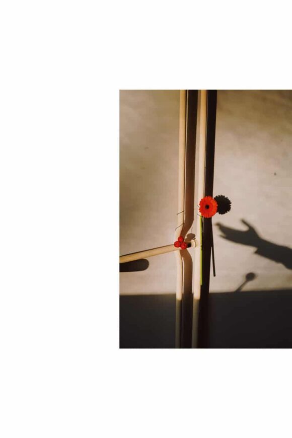 © Delfina Carmona