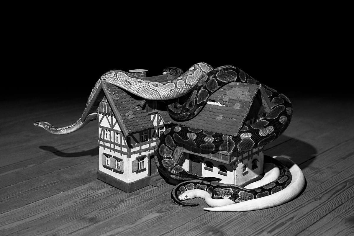 © Elena Helfrecht